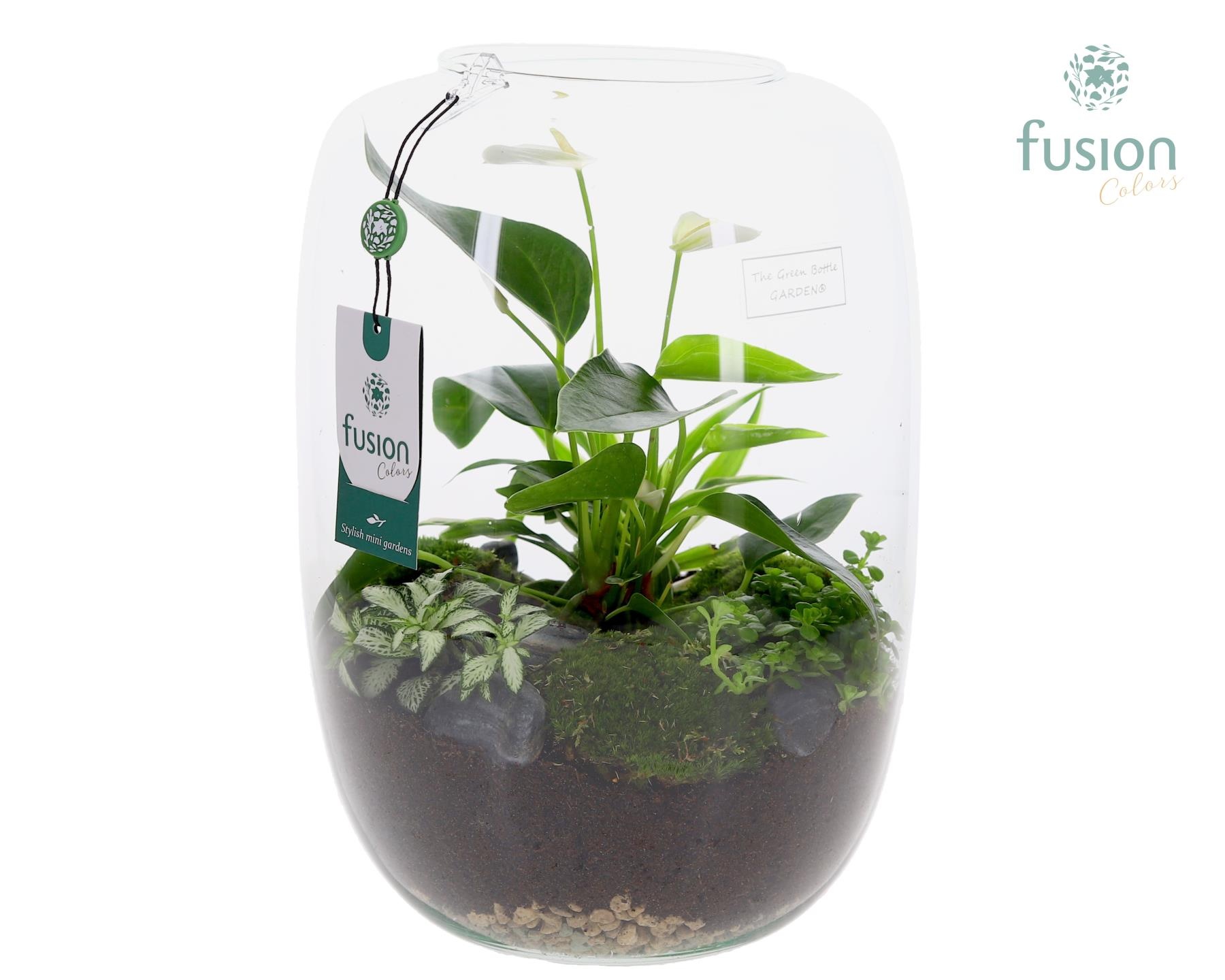 Green Bottle Isabella XLarge met Anthurium arrangement, D 25