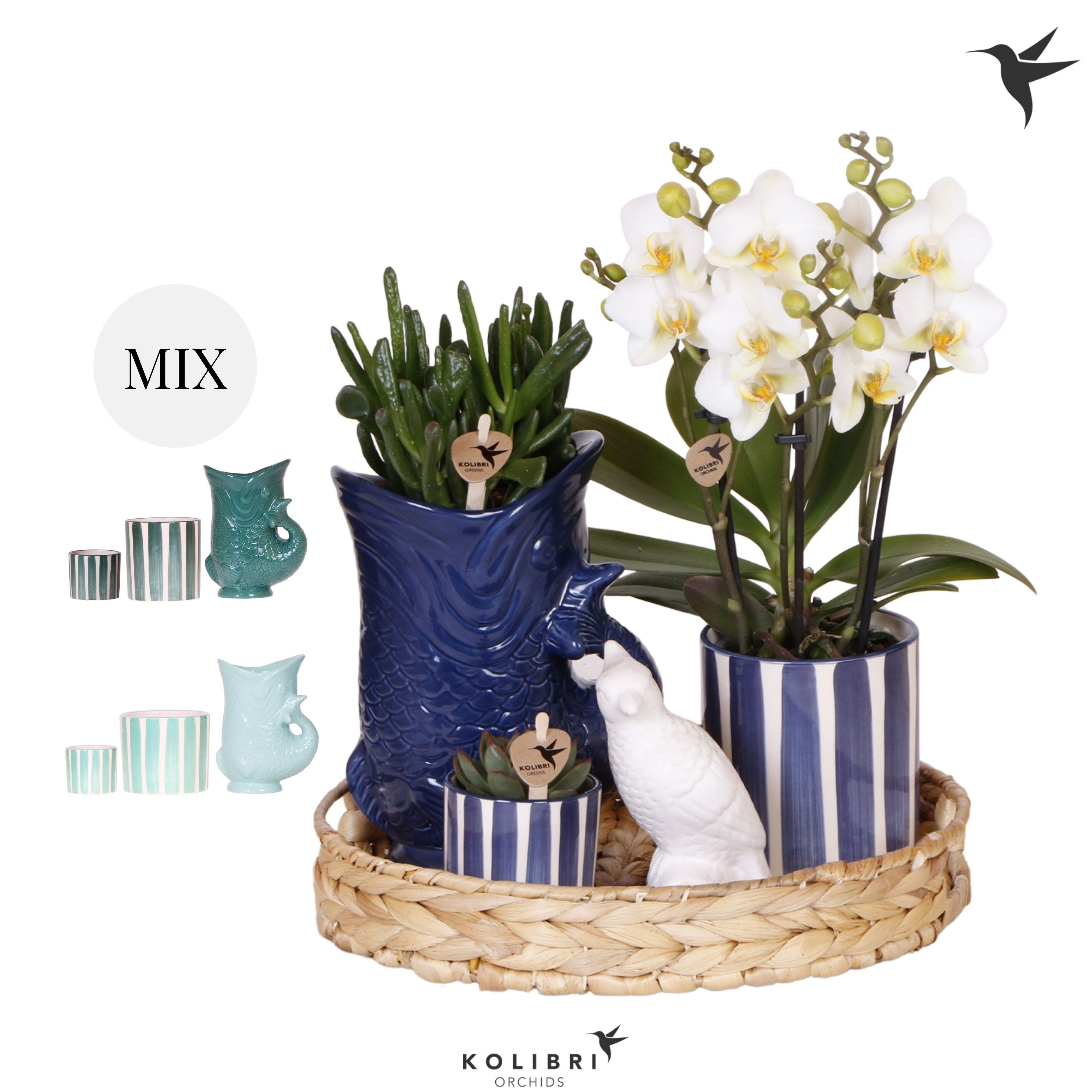 Kolibri Gift Set Mediterranean Sunset blue green mix, D 30