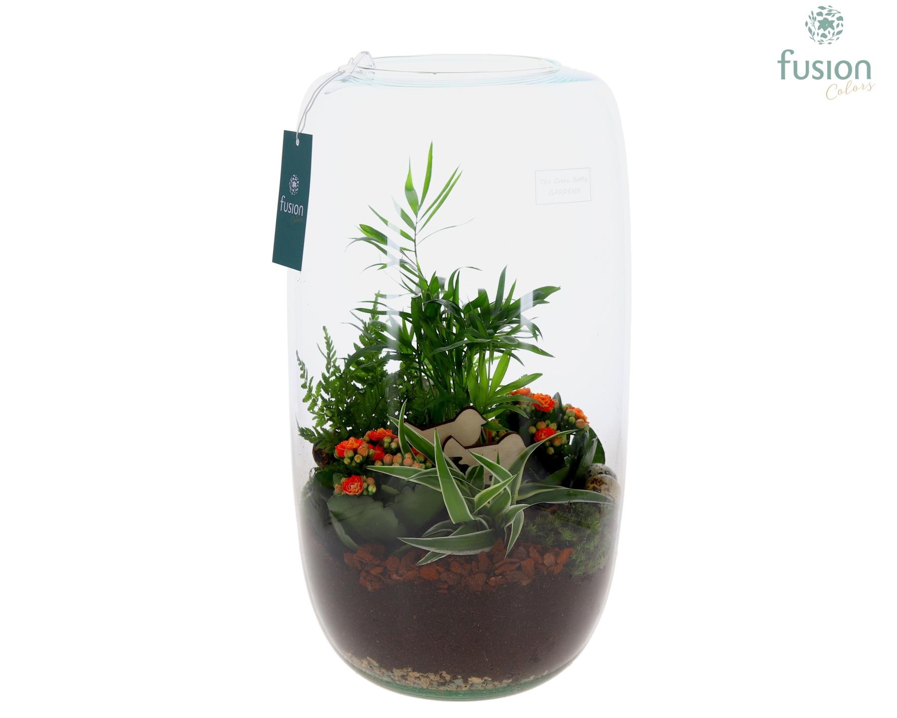 Green Bottle Isabella XXLarge Pasen met Arrangement, D 23