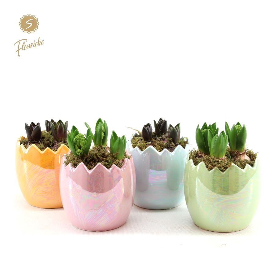 (3501) Hyacint Pearl Glazed Easter Eggs, D 15