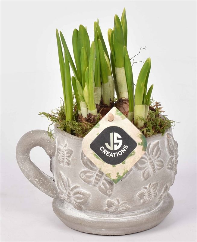 Cement vlinder kop en schotel 11cm, D 11