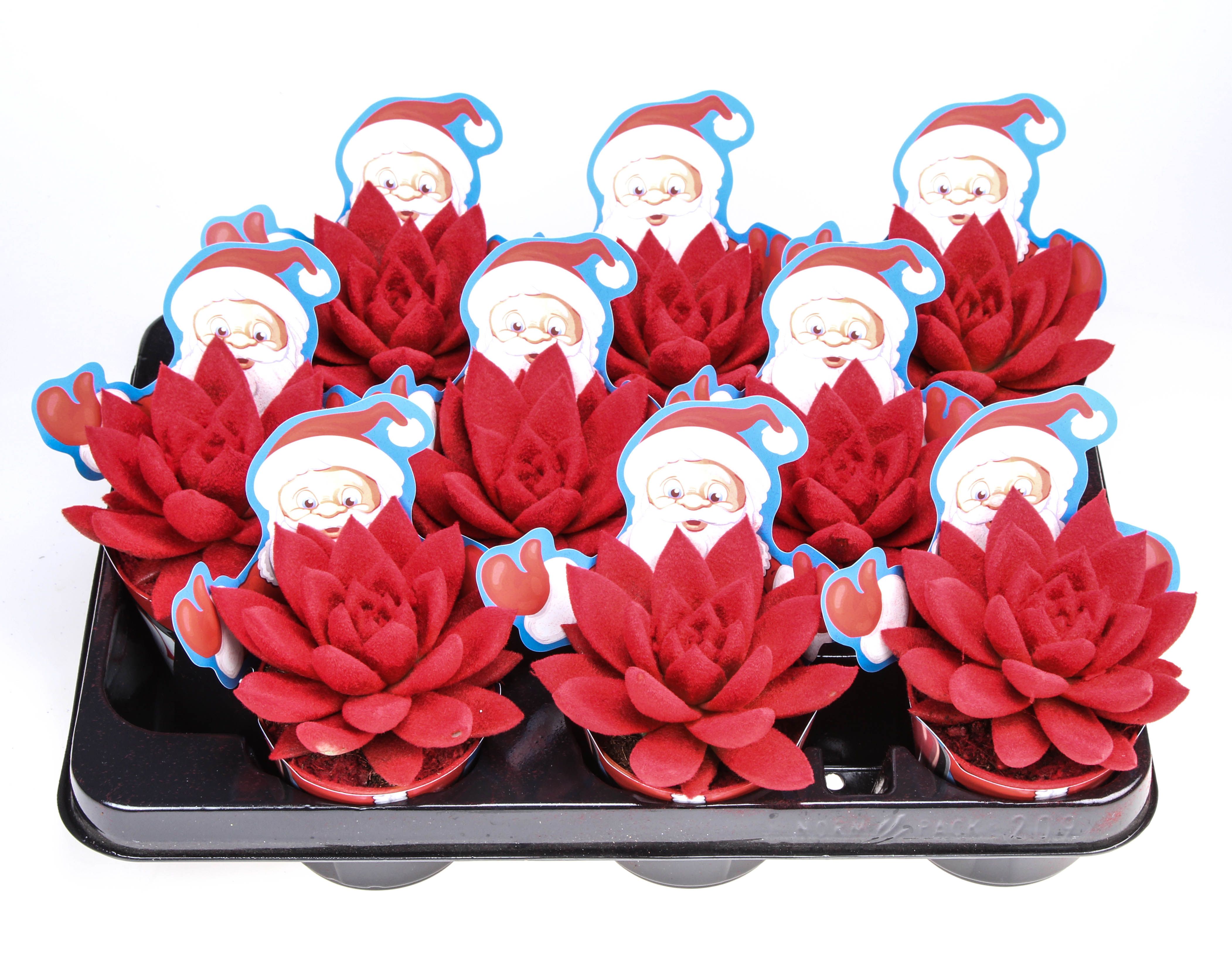 Potcover Santaclaus Velvet Red, D 8,5