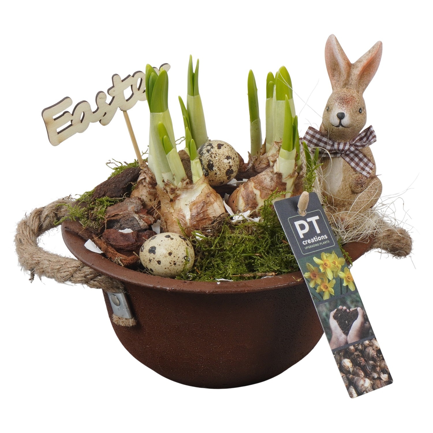 PTNP4426 Arrangement Narcissus Easter in zink schaal, D 18