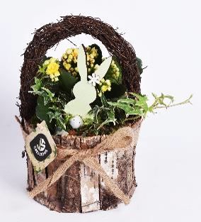 Schors hengselmand rond 14cm, D 14