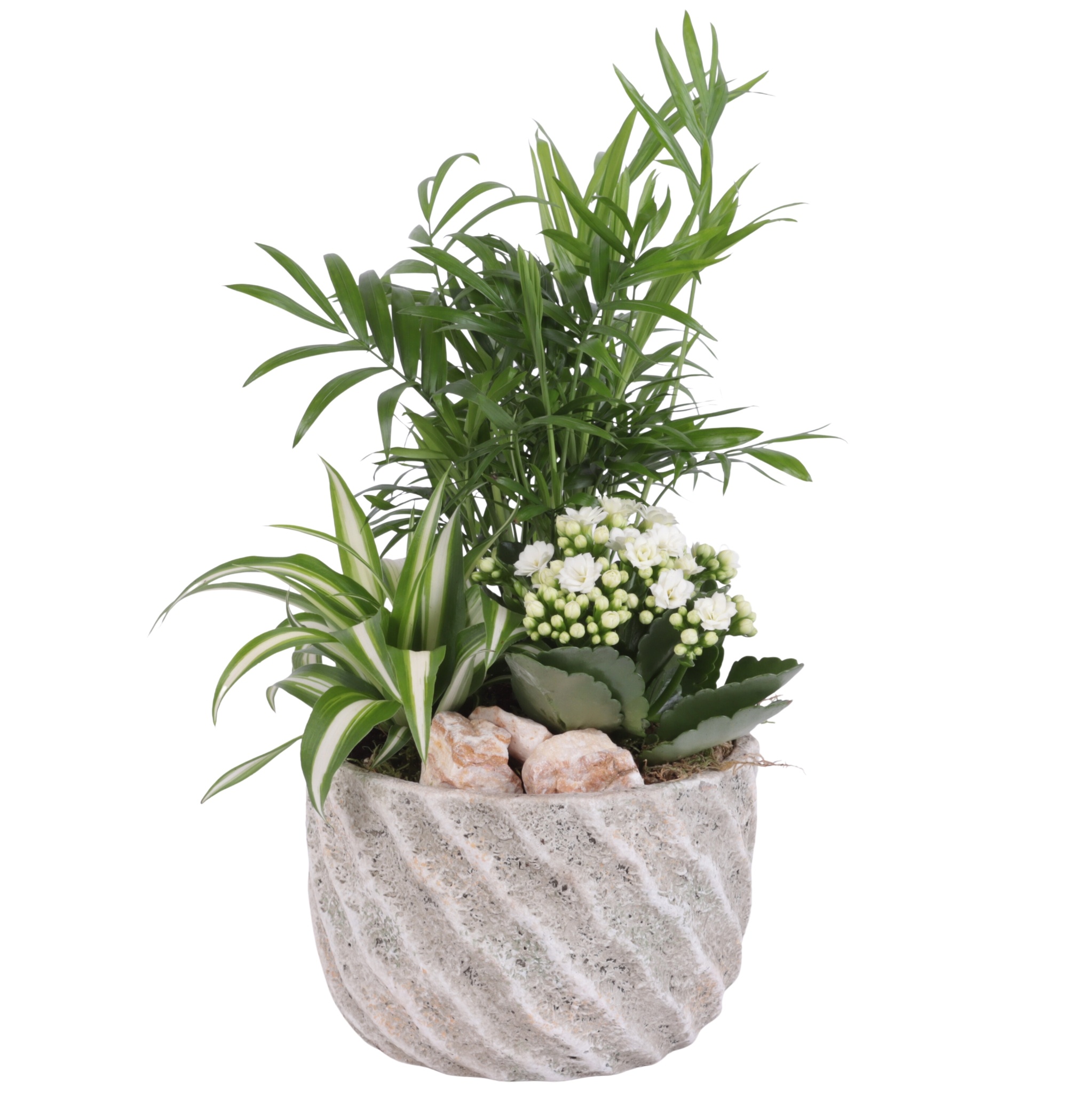 Yearround Arr. Indoor Ceramic Natural Touch NT668 Ø17cm 3PP, D 17