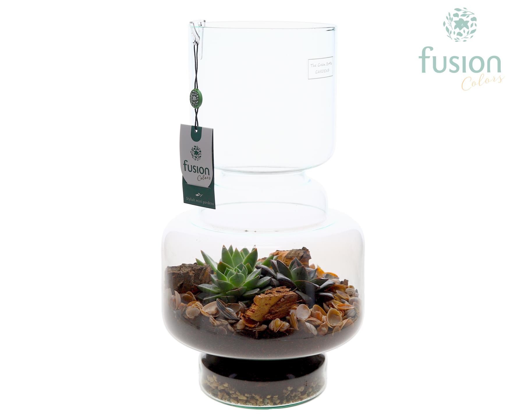 Green Bottle Lotte Large met Maritiem arrangement, D 22