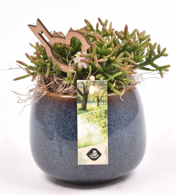 Keramiek sierpot blauw 12.5cm, D 13