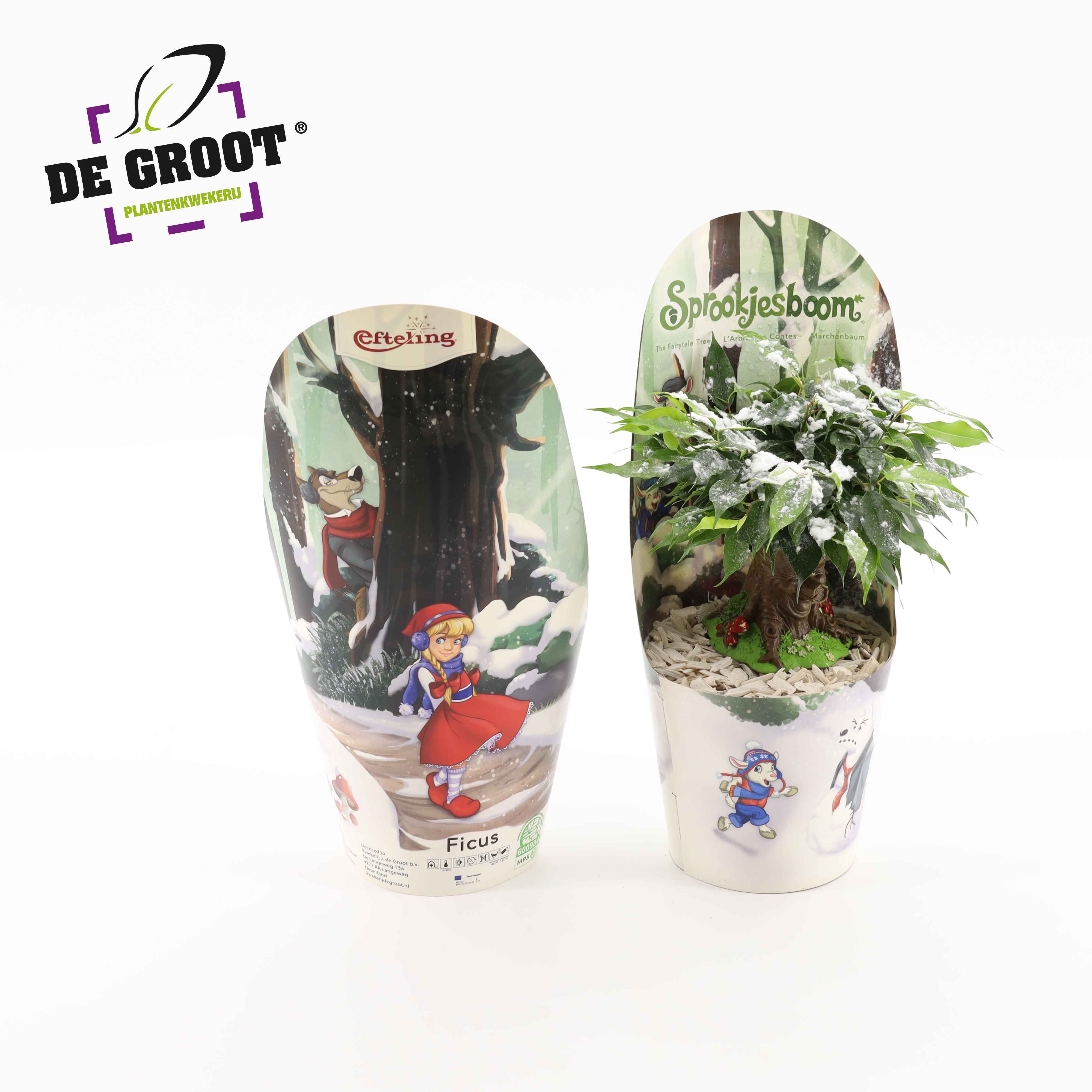 Sprookjesboom Winter NL, D 14