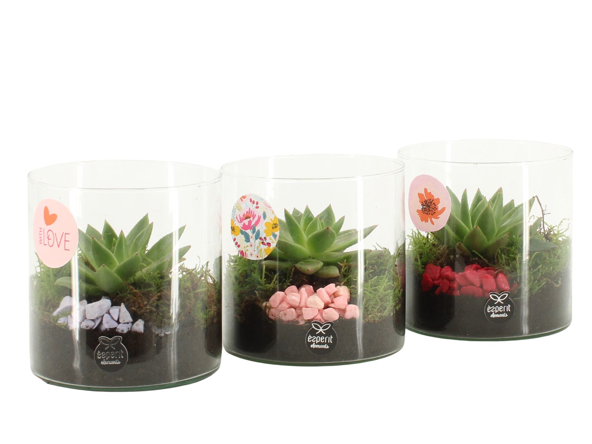 21872: Lovess arrangement, D 12