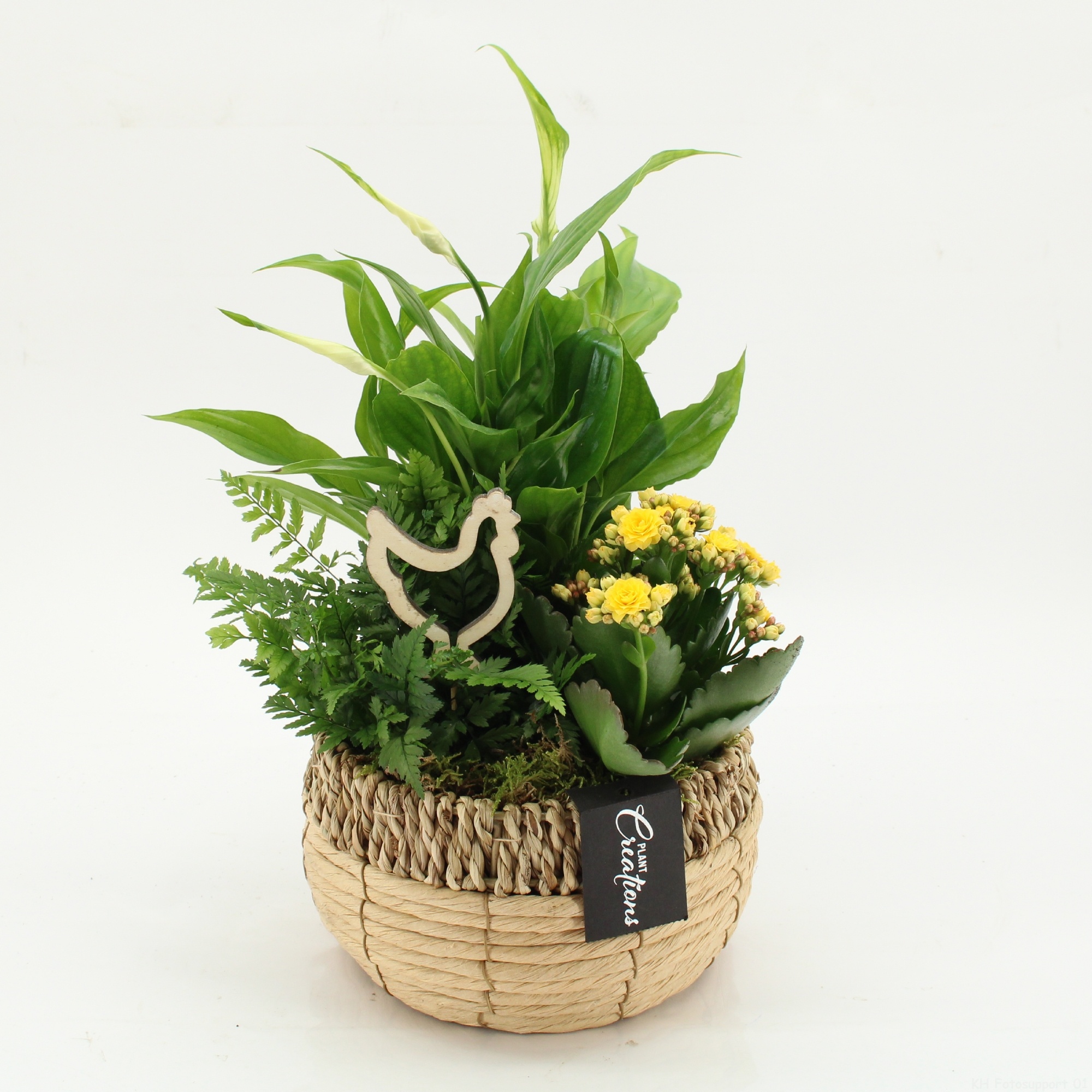 PSCR-2620G Easter Essentials, D 18