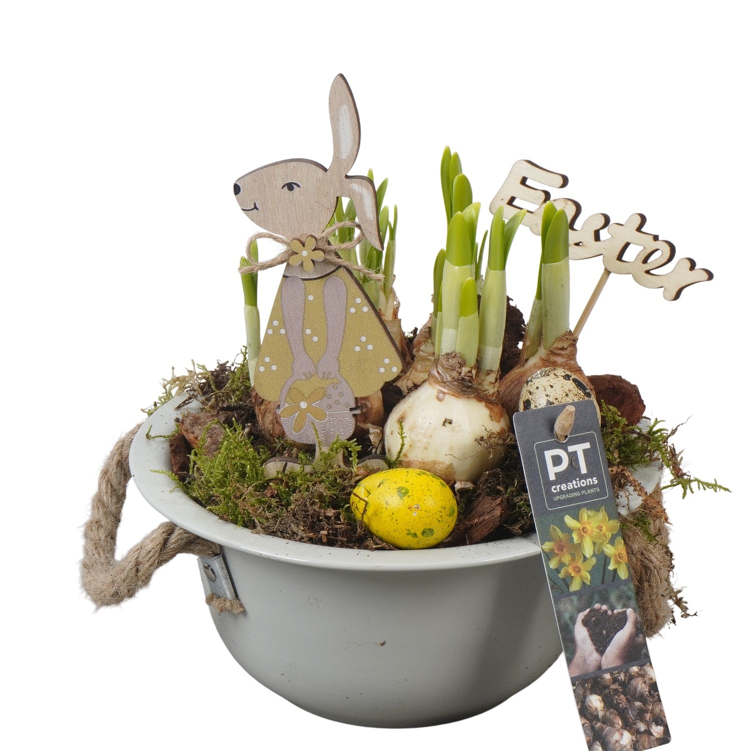 PTNP4422 Arrangement Narcissus Easter in zink schaal, D 18