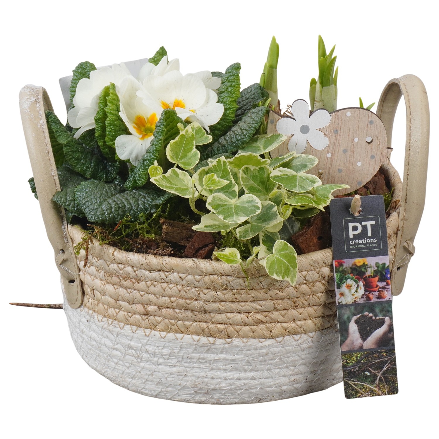 PTBM3821 Arrangement Flower Bulbs Mix in rieten mand, D 21