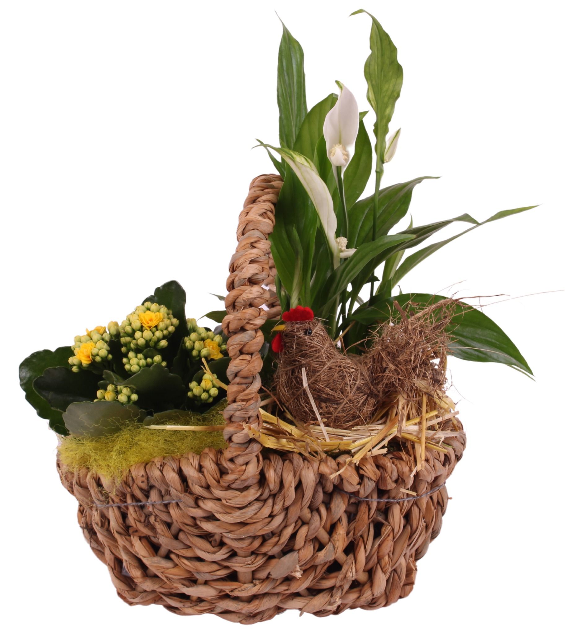 Easter Arr. Indoor Willow Waterhyacint Handle Basket Ø25cm 2PP, D 25
