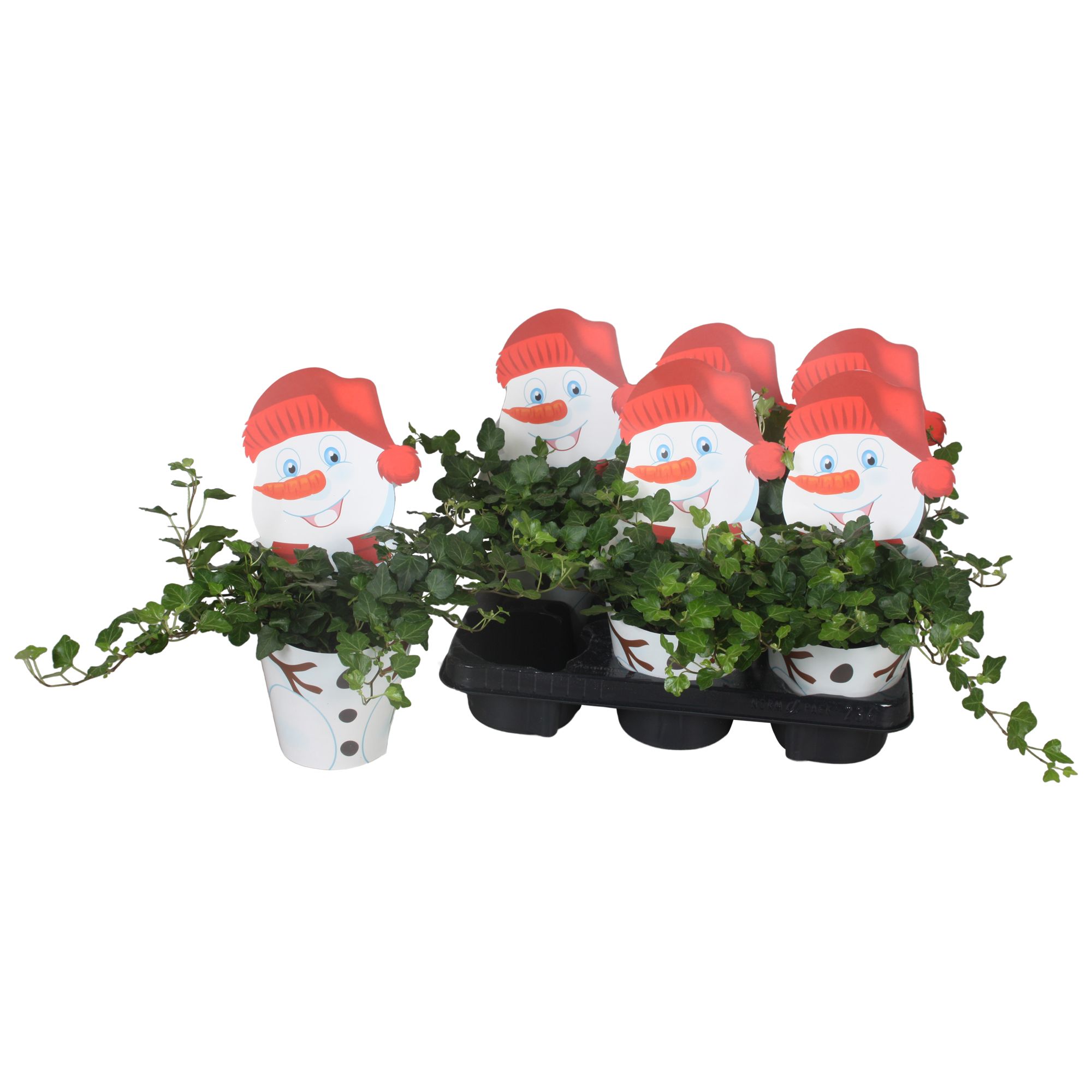 Potcover Sneeuwpop met Hedera, D 13