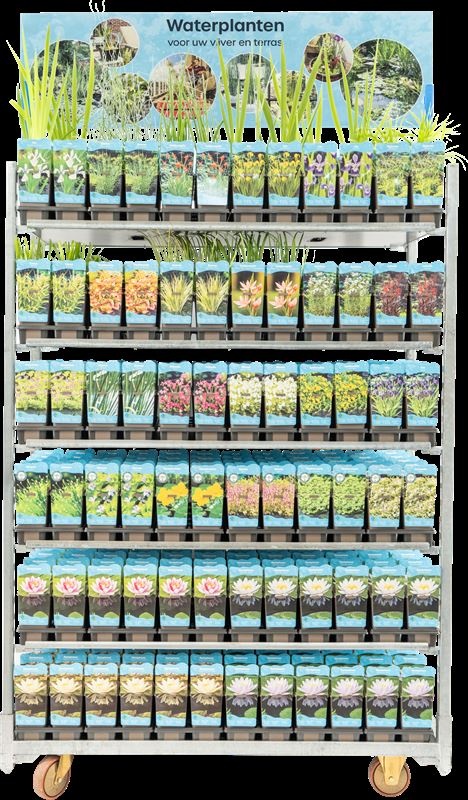 MIX CC2 2026 Bekers, D 20