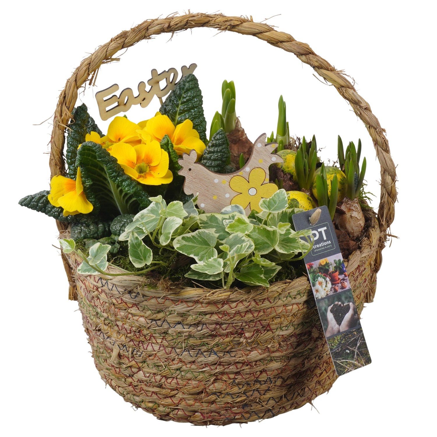 PTBMP5678 Arrangement Easter Bulbs Mix in rieten mand, D 22