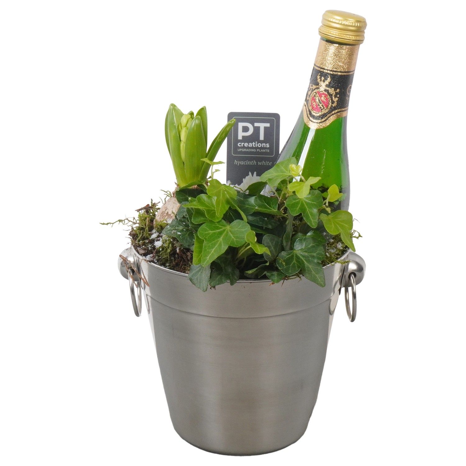 PTON7919 Arrangement New Year in metaal emmer, D 14 cm