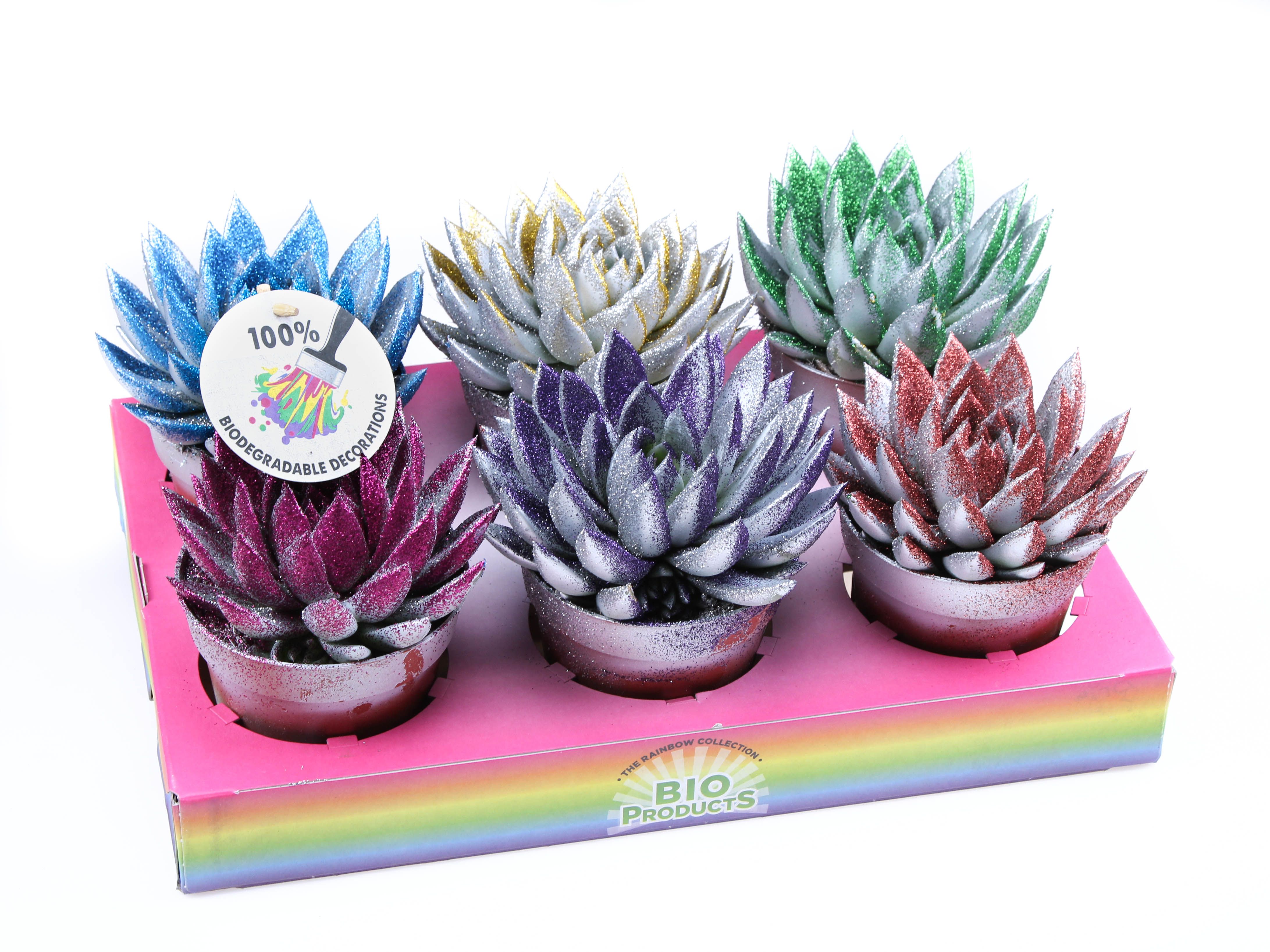 Bio miranda zilver + mix glitter, D 12,5