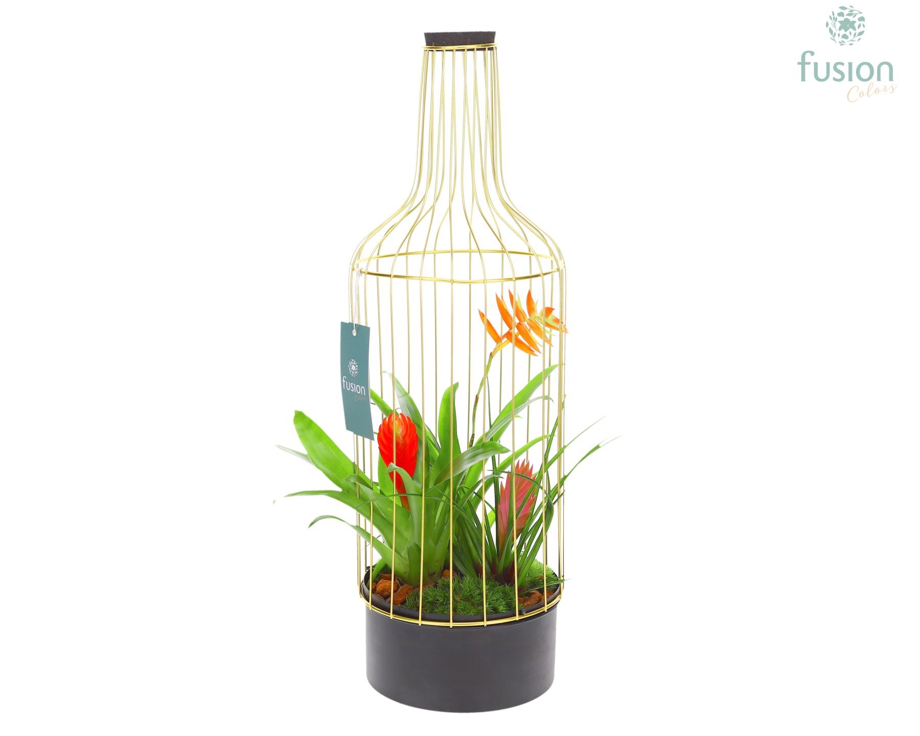 Metaal Flesgoudzwart Large met Bromelia, D 17