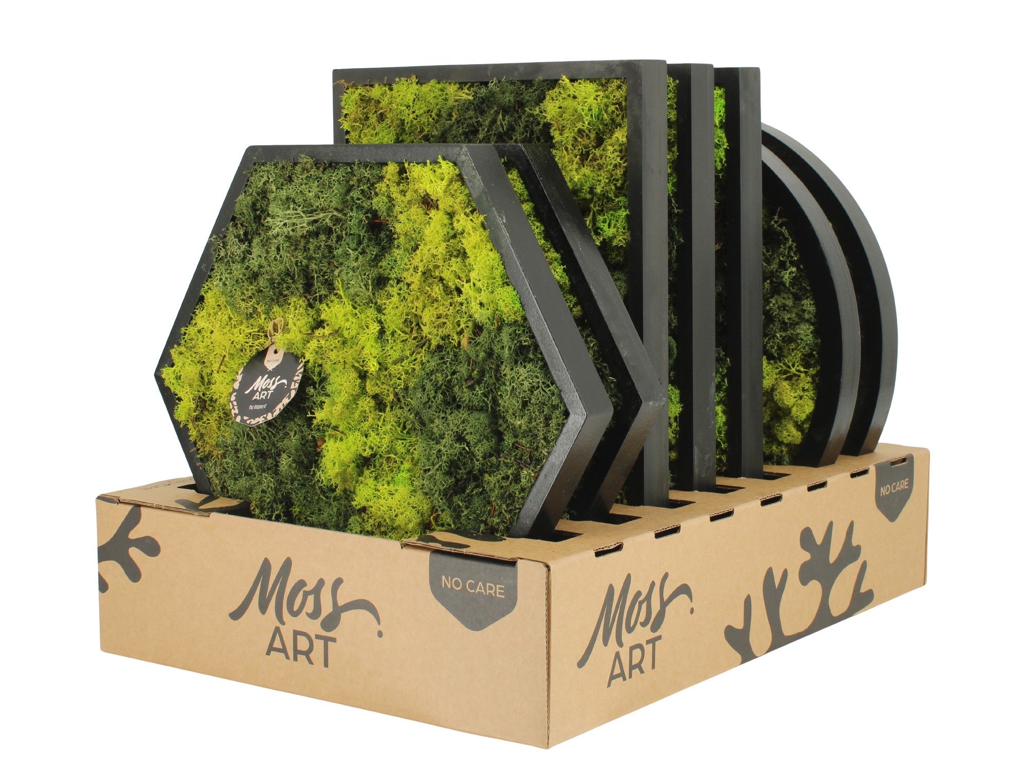 90784: Moss Art Mix Rectangular / Round / Hexagonal D38, D 38