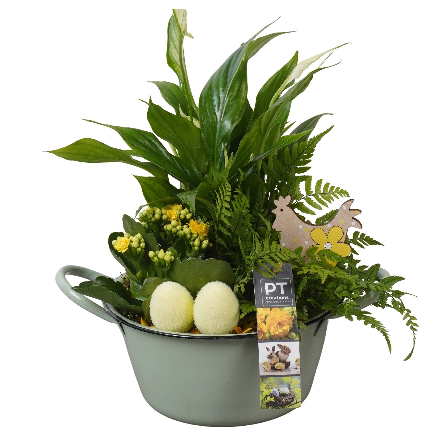 PTPB6426 Arrangement Easter in zink schaal, D 19