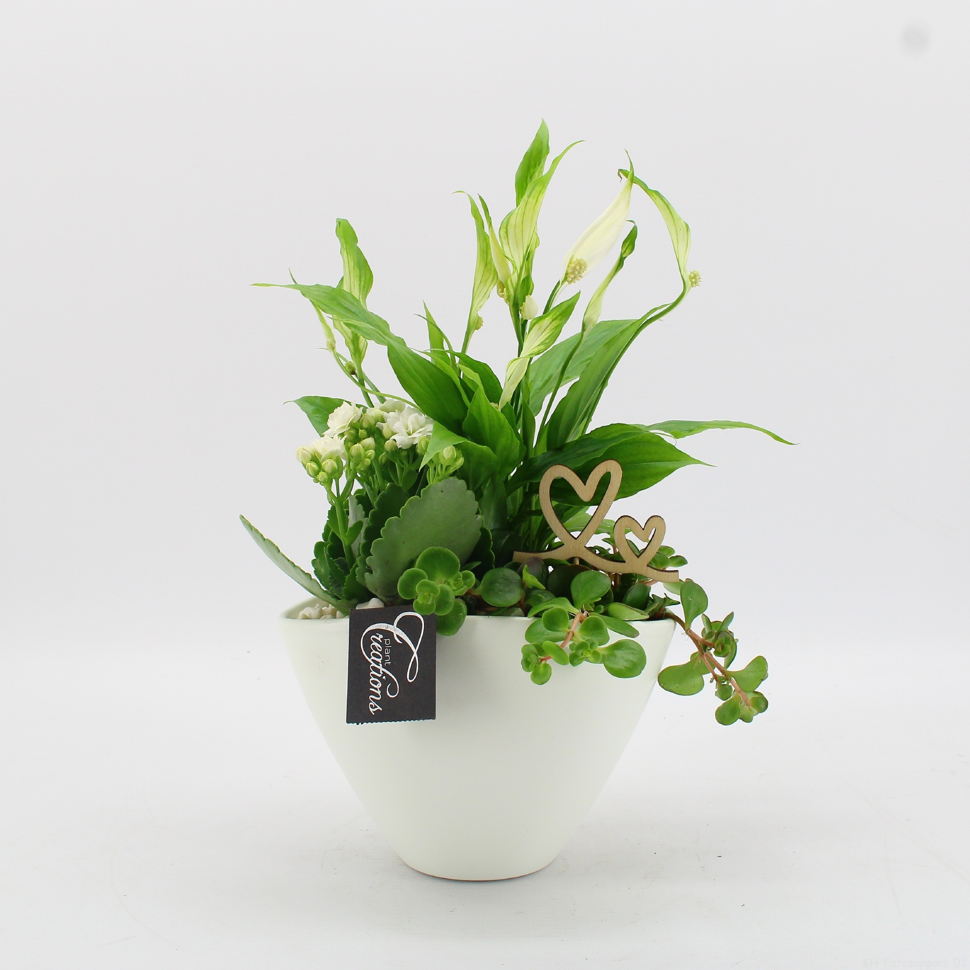 FDRM-2610W Romantic Fundamentals, D 18