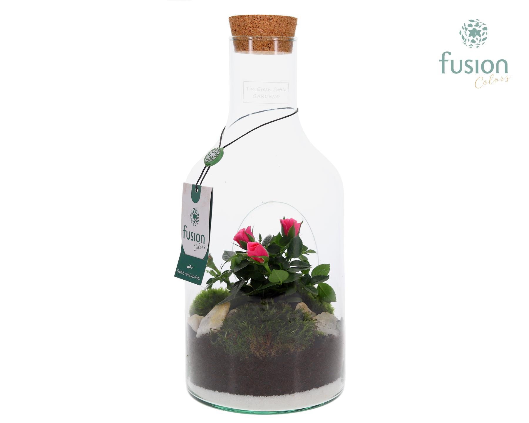 Green Bottle met Potroos, D 15