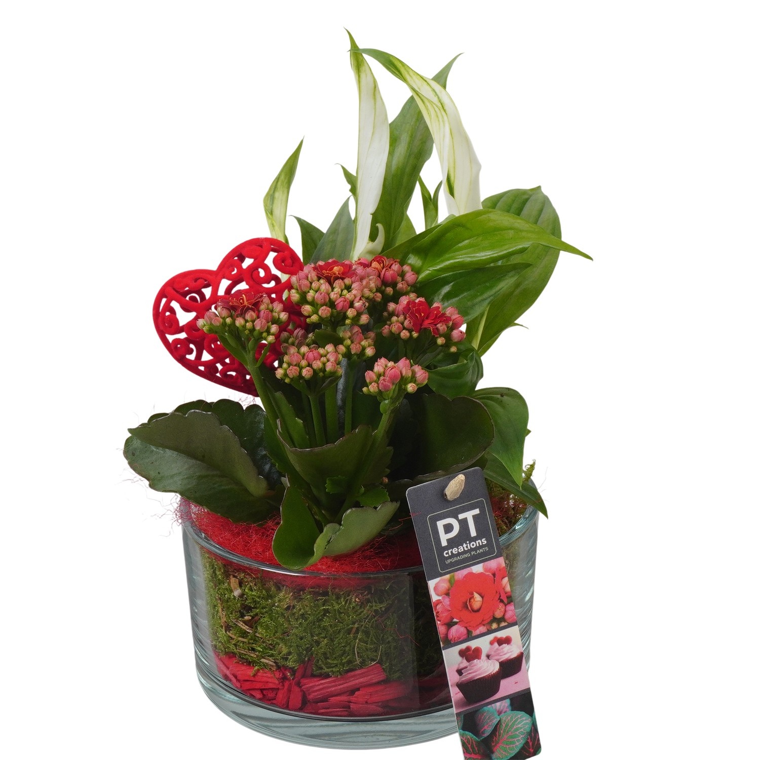 PTVMG4914 Arrangement Valentines-Mothersday in glas schaal, D 14