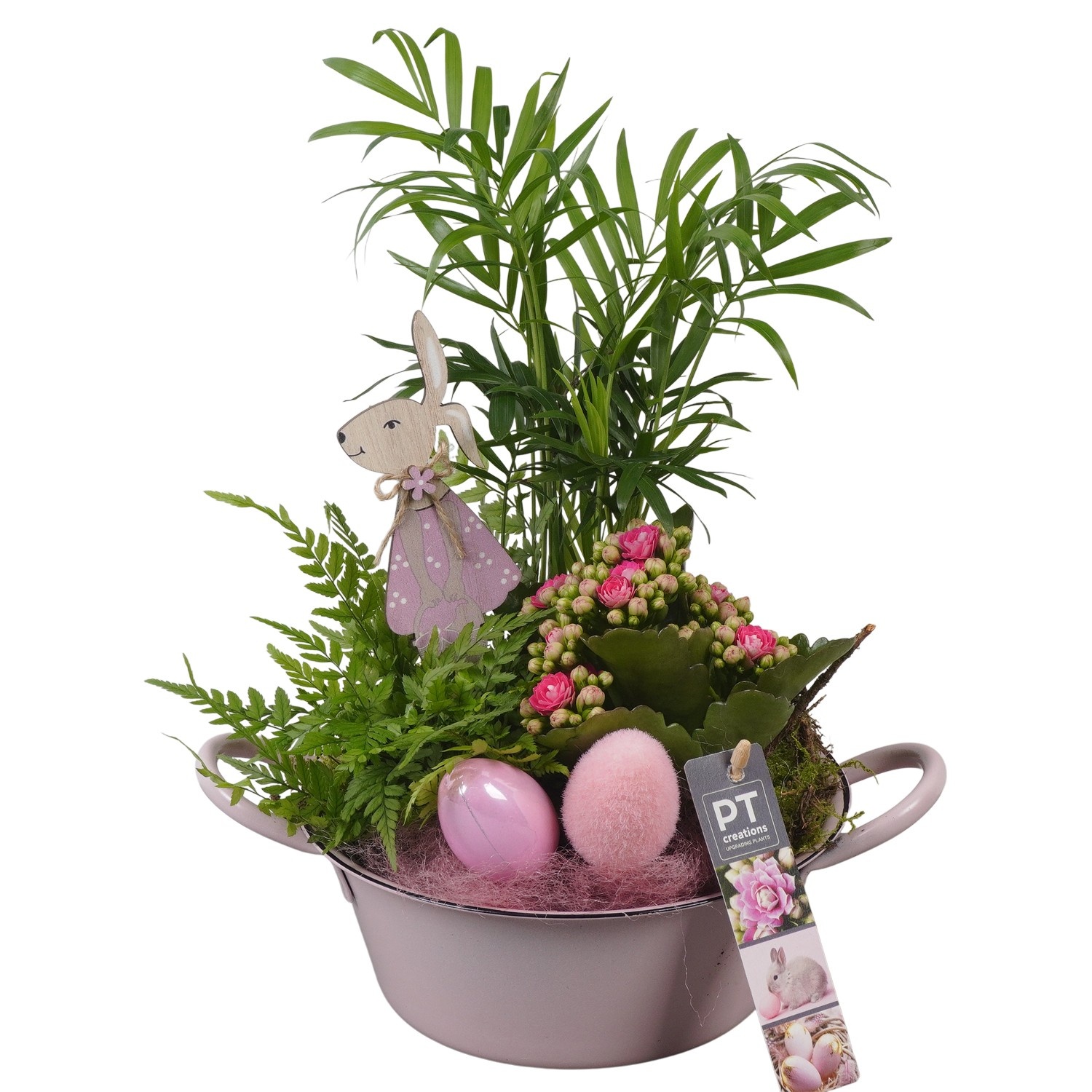 PTPB6420 Arrangement Easter in zink schaal, D 19