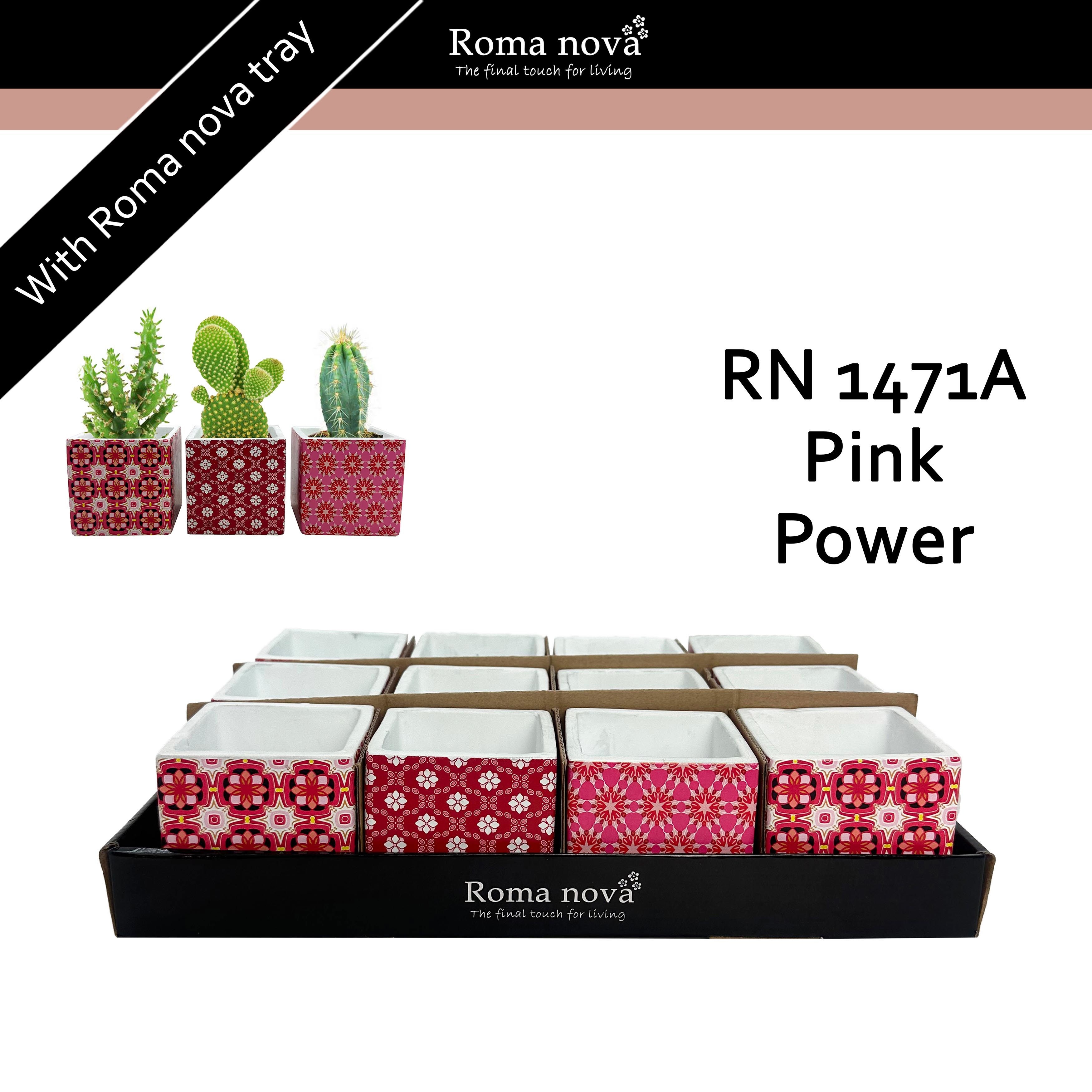 1471A - Pink Power (Hardware), D 8