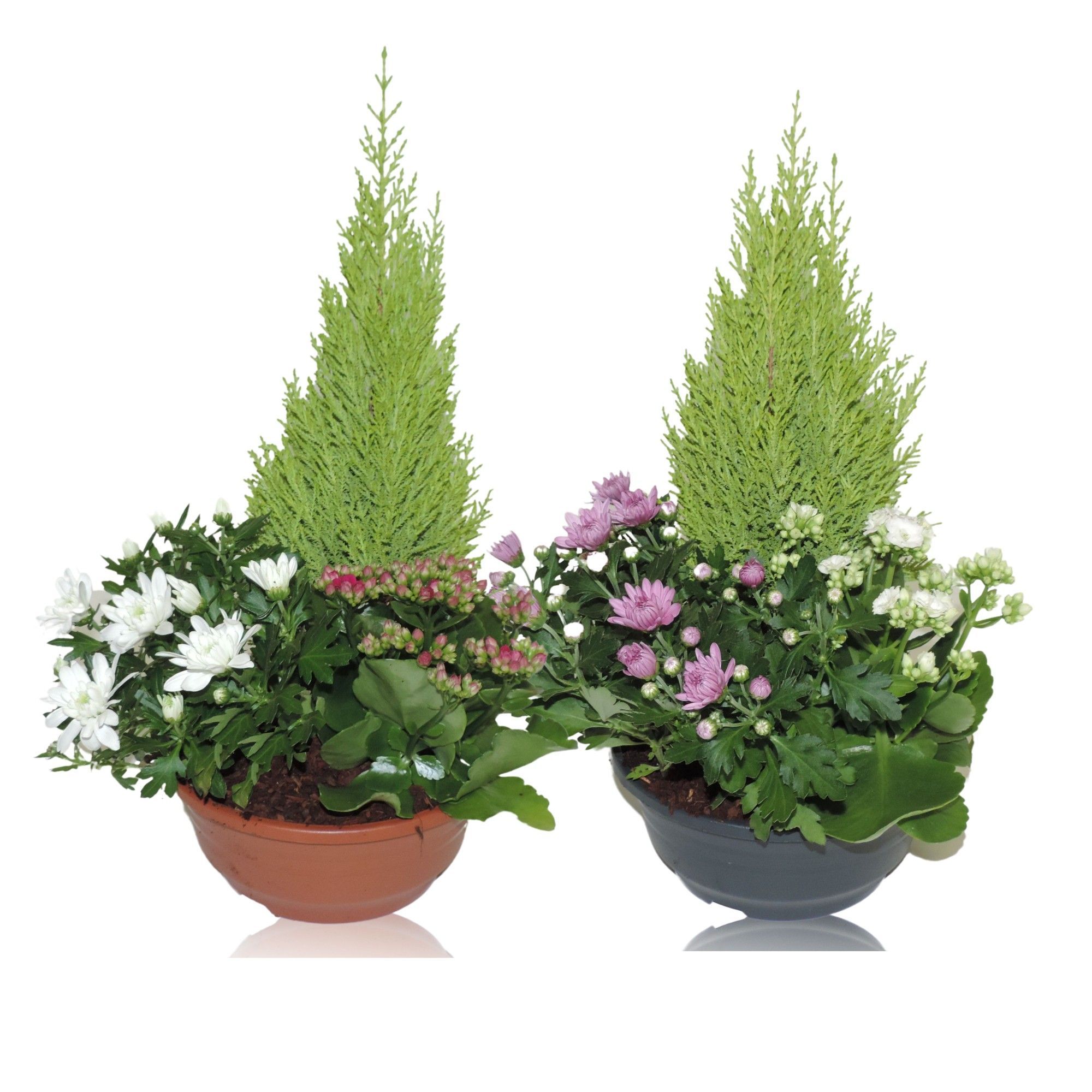 Arrangement Autumn Classic in Schaal 23 cm, D 23