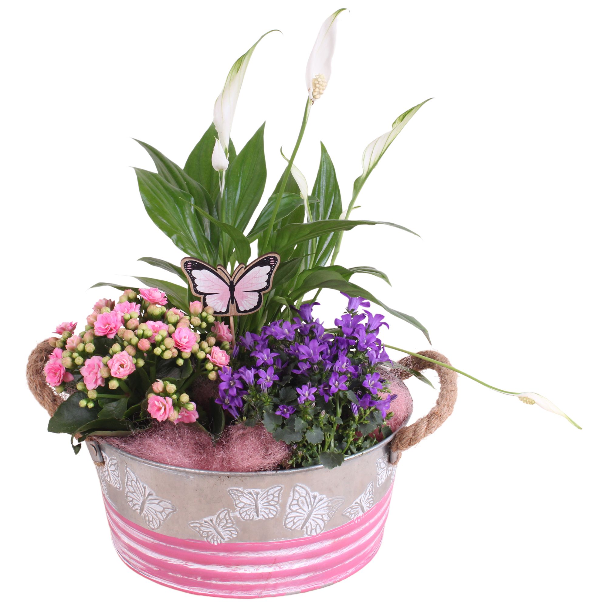 Mothersday Arr. Indoor Zinc Butterfly Pot Ø21cm 3PP, D 21