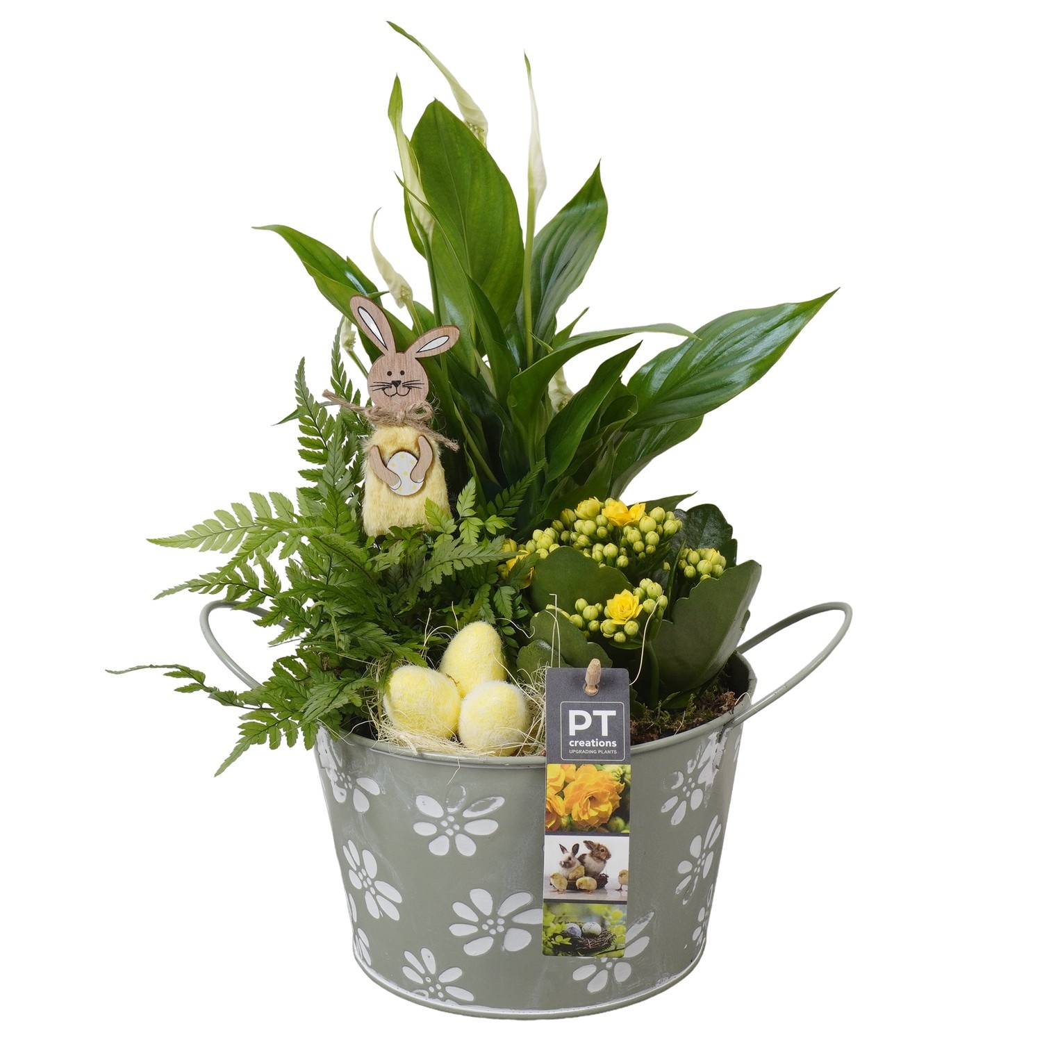 PTPB6464 Arrangement Easter in zink pot, D 18