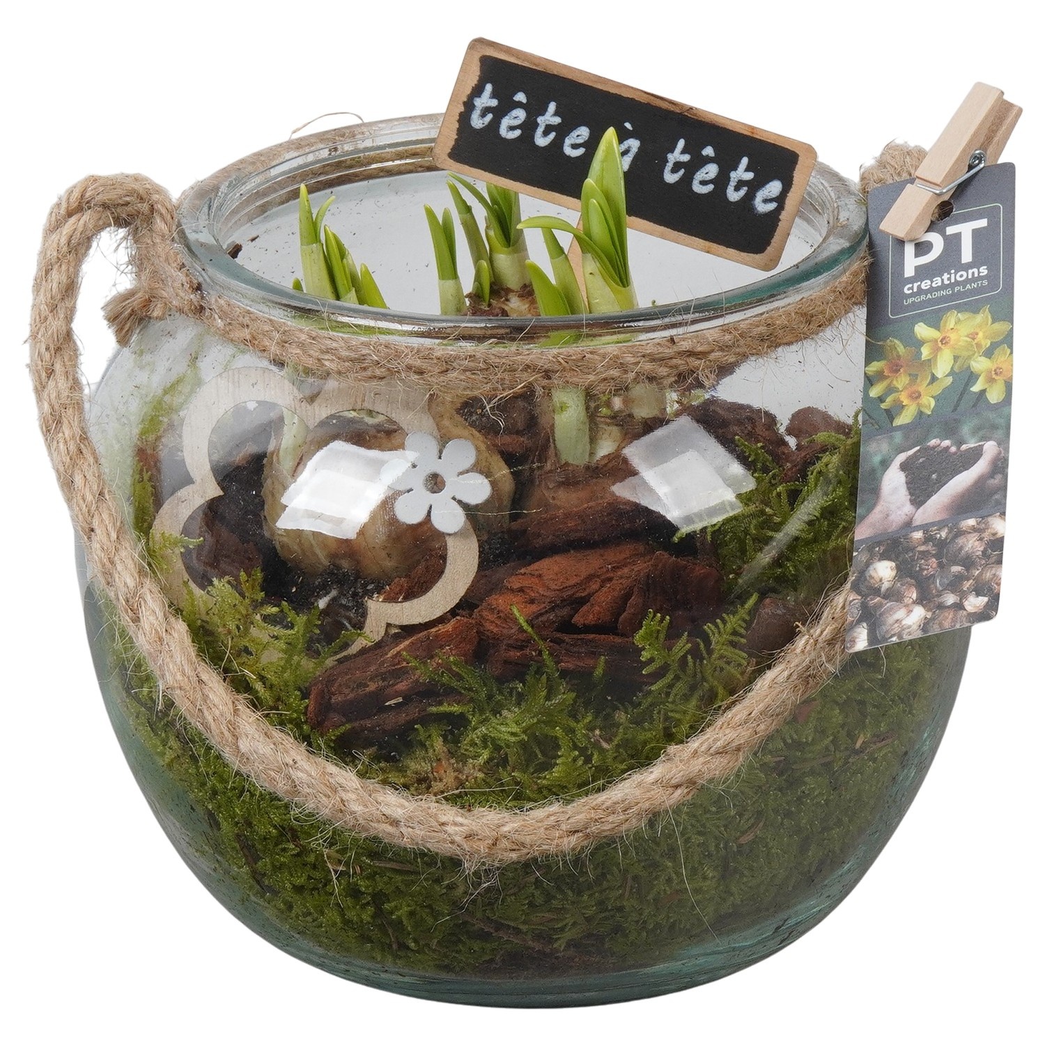 PTN8740 Arrangement Narcissus in glazen bol, D 19