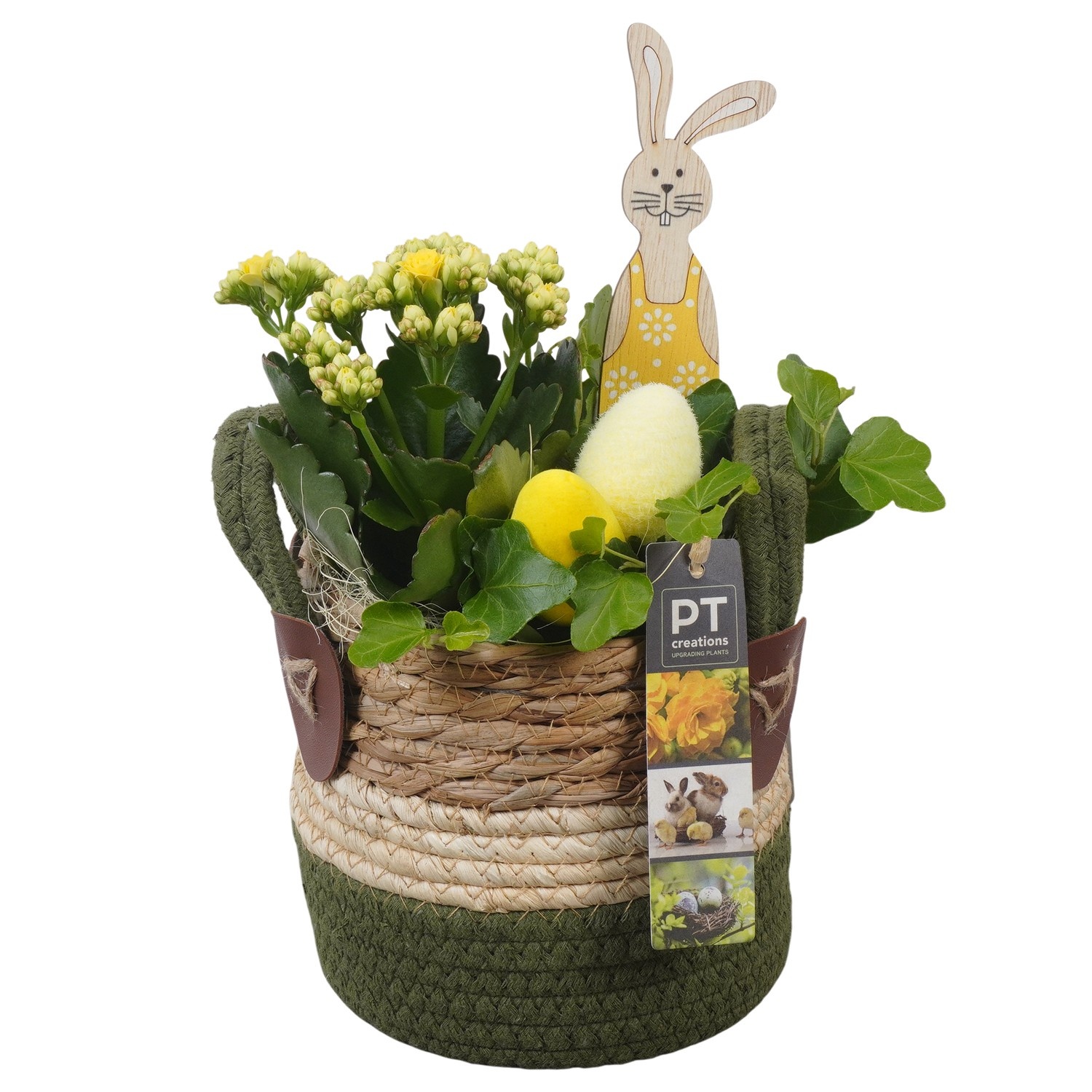 PTPB6553 Arrangement Easter in rieten mand, D 13
