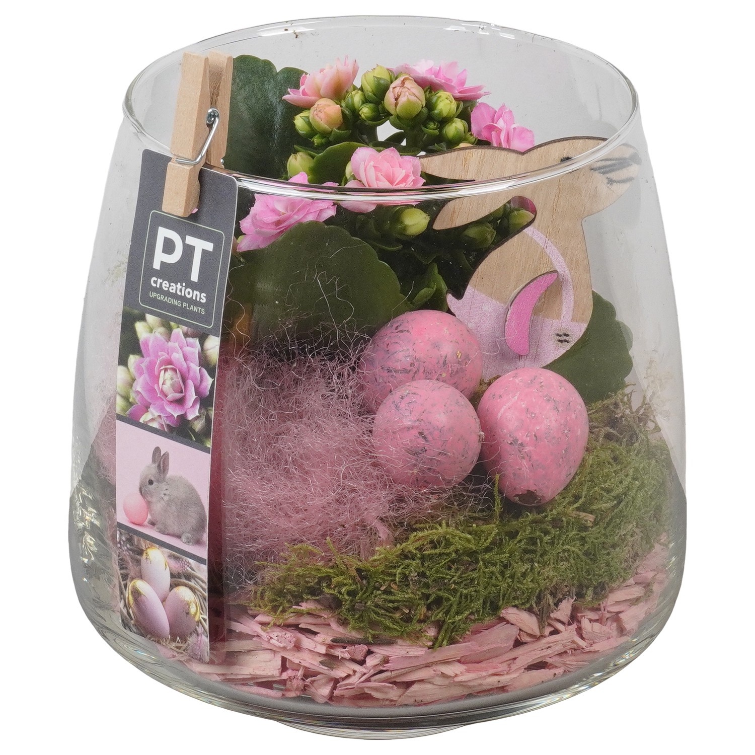 PTPG9370 Arrangement Easter in glas vaas, D 14
