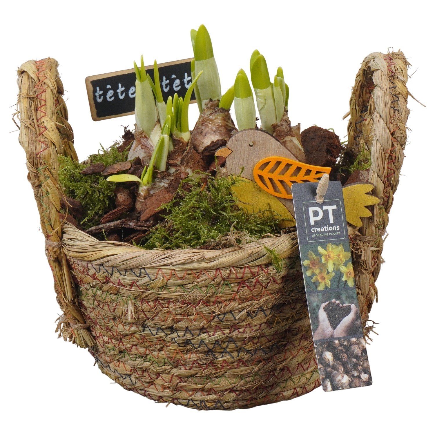 PTN8612 Arrangement Narcissus in rieten mand, D 18