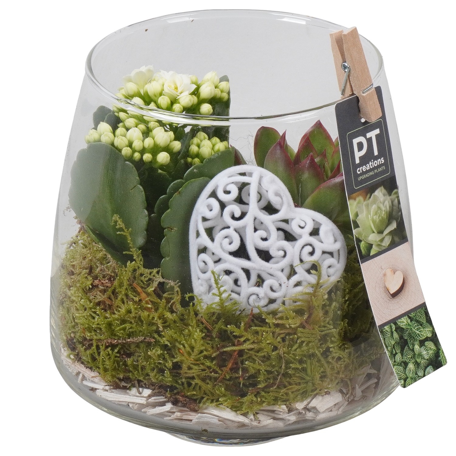 PTVMG4944 Arrangement Valentines-Mothersday in glas vaas, D 14