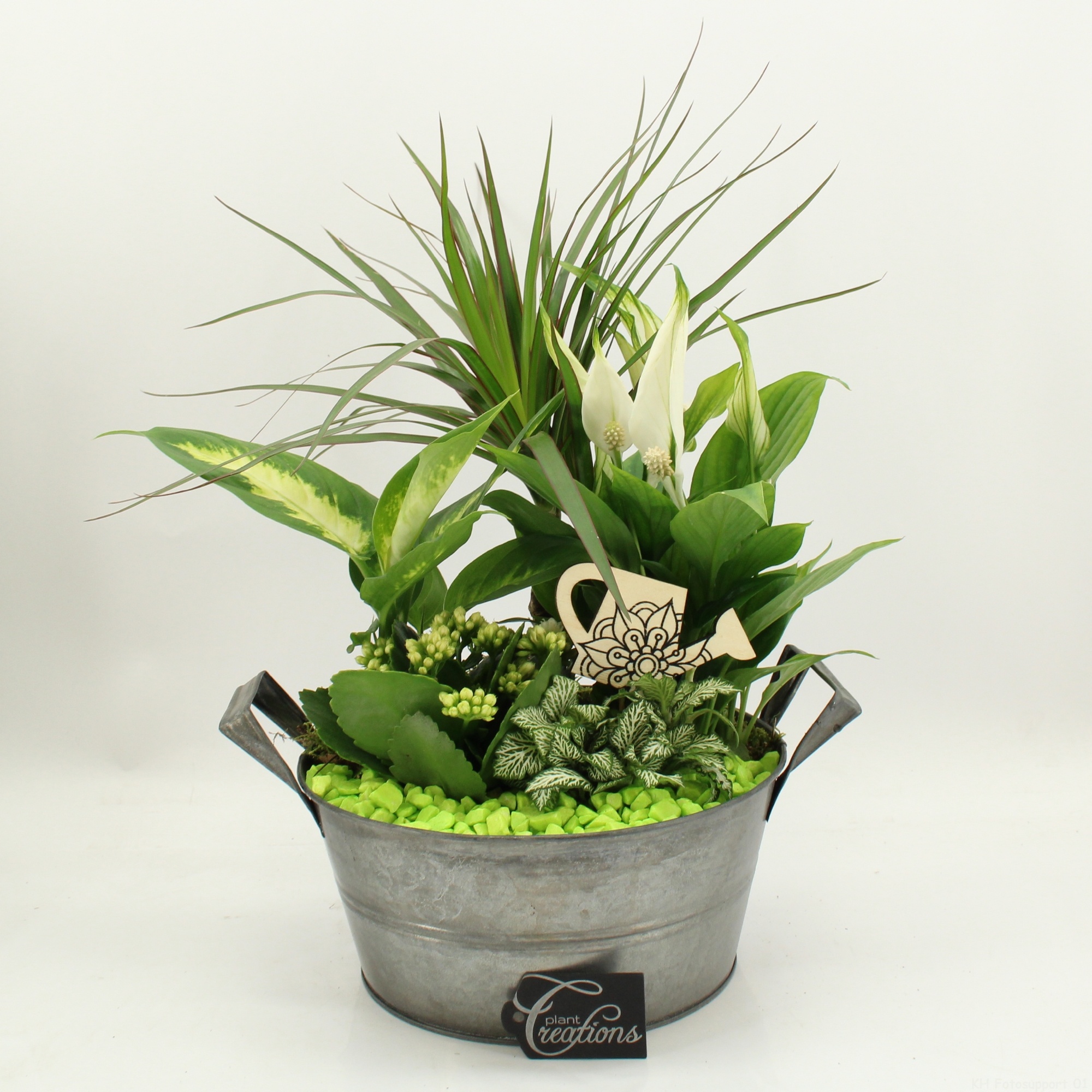 FDCR-2615GR Basic Fundamentals, D 23