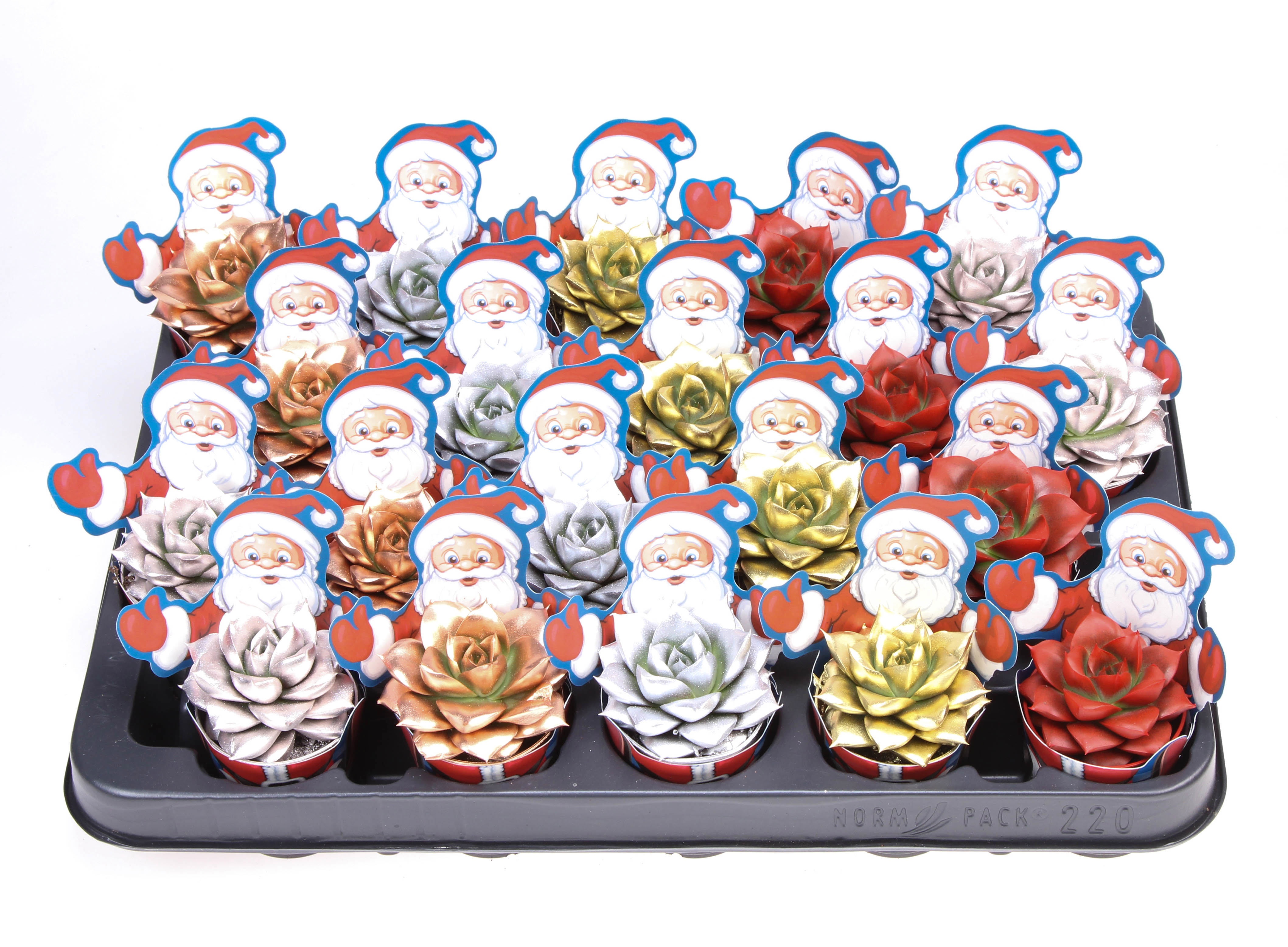 Potcover santaclaus purper kerstmix, D 5,5