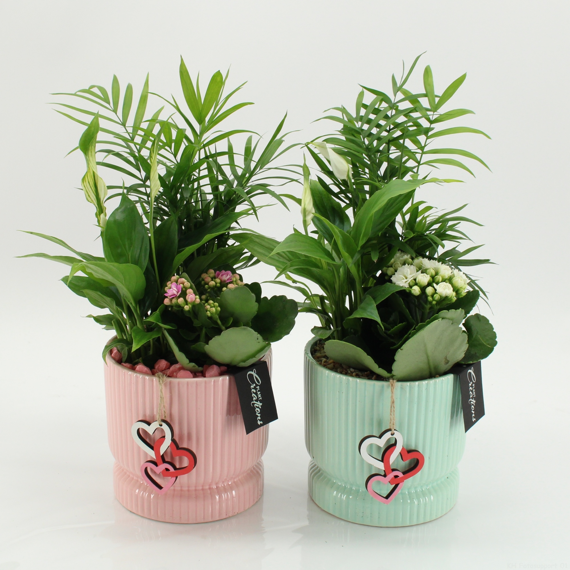 MDCR-2644M Mother's day Essentials, D 14