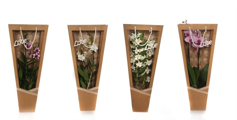 Draagtas heartbeat Orchideeen mix 2T, D 12