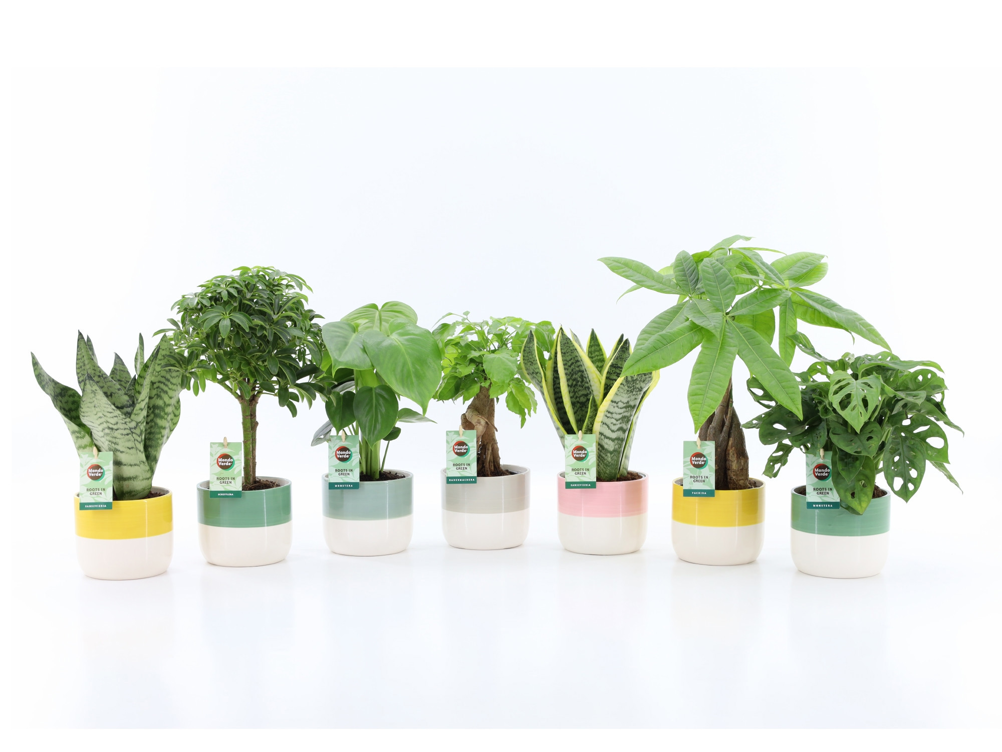 Easy to Care mix in Two Tone keramiek, D 13