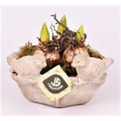 Cement vogelschaal 18cm, D 18