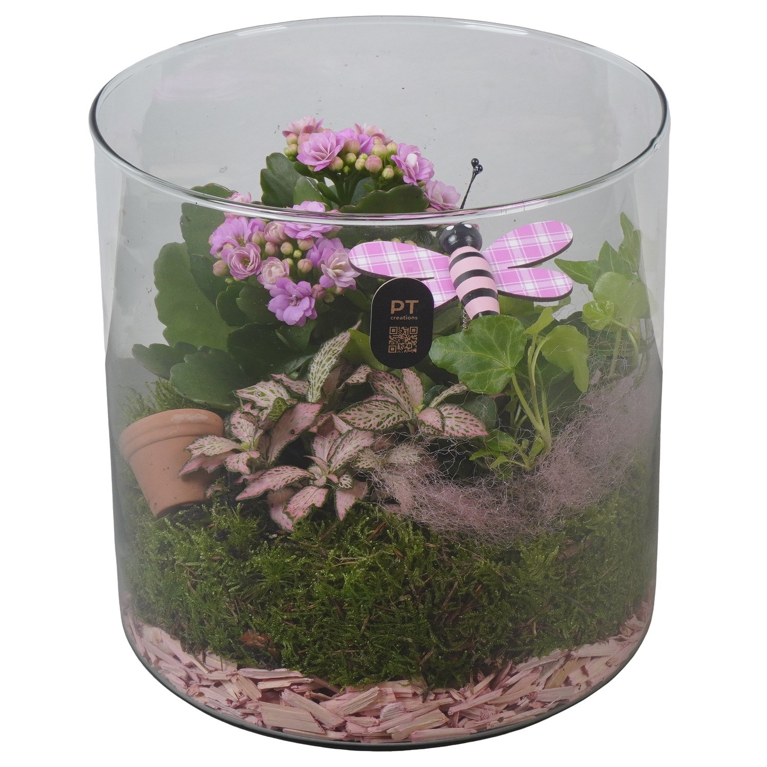 PTIG2620 Arrangement Indoor in glas cylinder, D 19