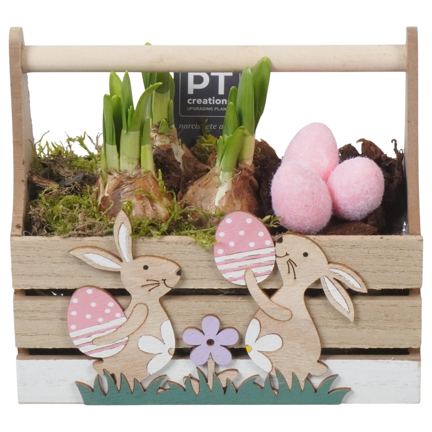 PTNP4488 Arrangement Narcissus Easter in houten rechthoek, D 18