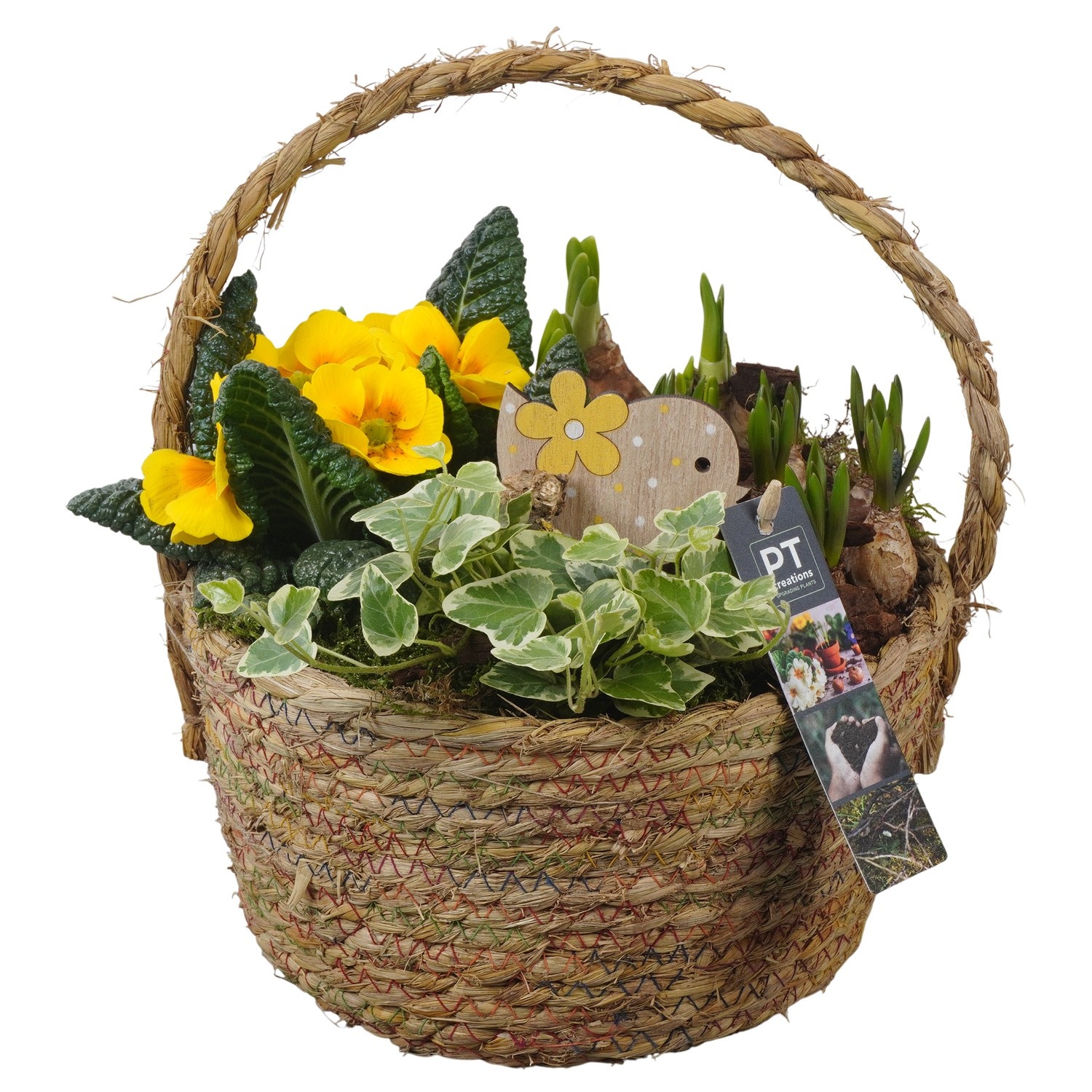 PTBM3803 Arrangement Flower Bulbs Mix in rieten mand, D 22