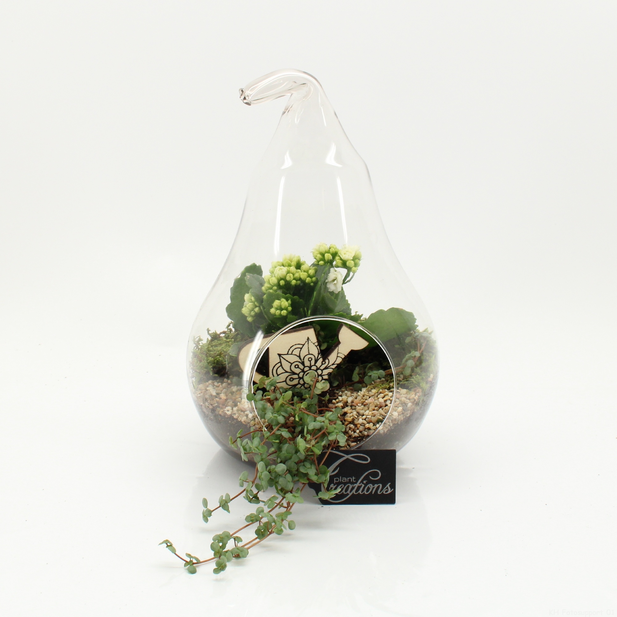 ESCR-2632W Essentials terrarium, D 18
