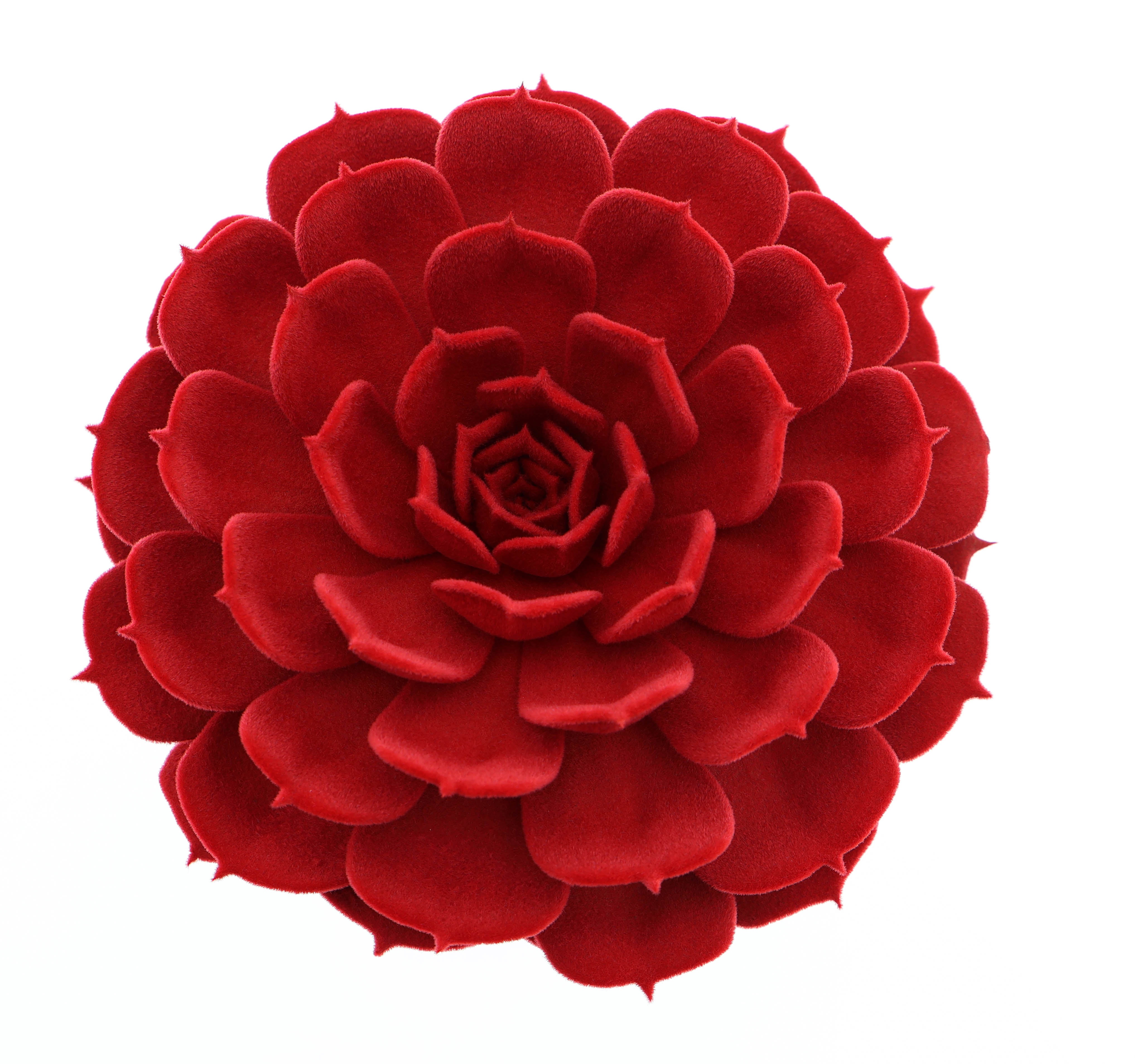 Pollux velvet red, D 17