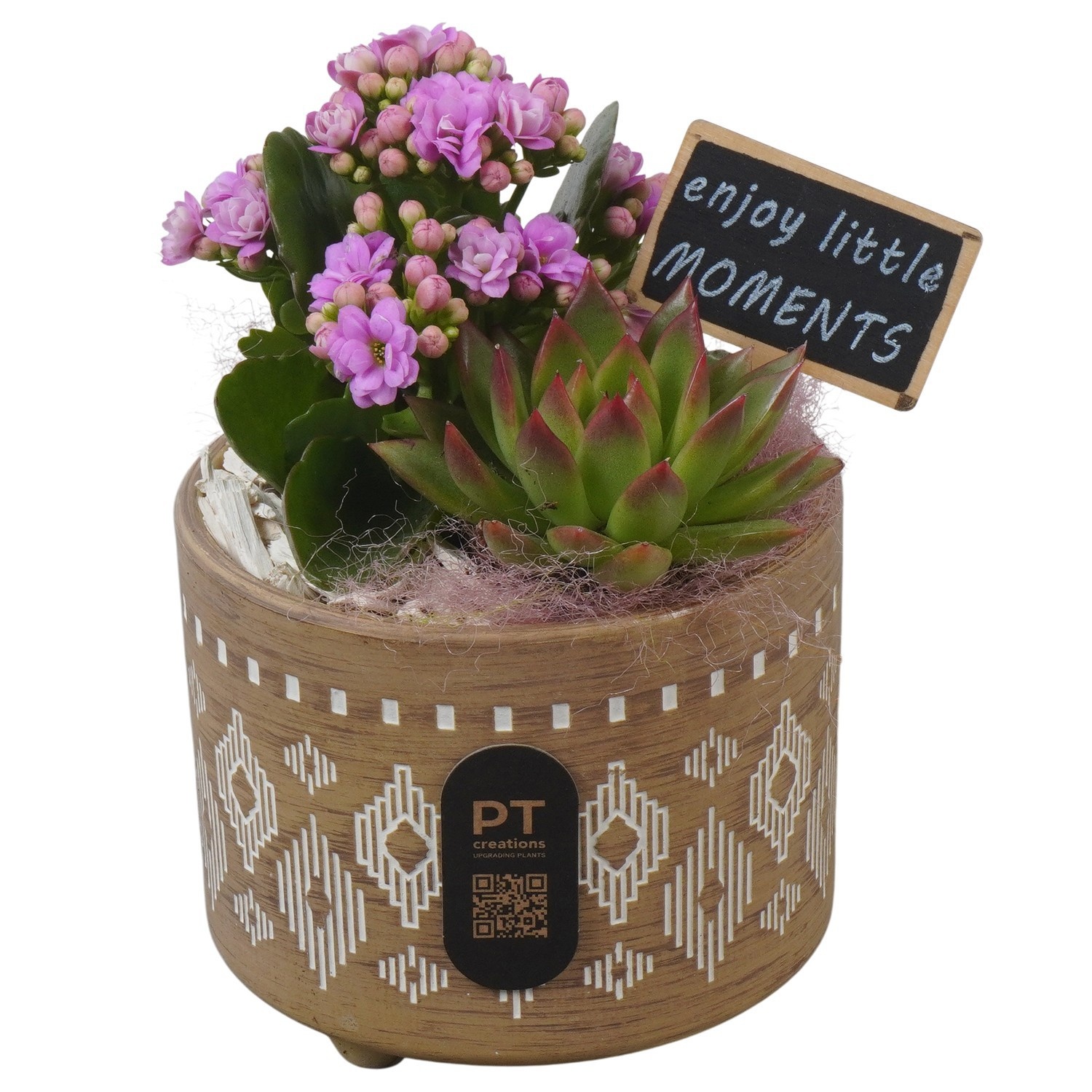 PTIB5185 Arrangement Indoor in keramiek pot, D 12